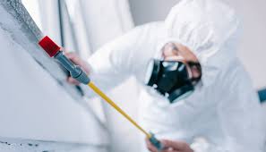 Best Pest Exclusion Services  in Perry, LA